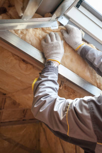 Best Residential Insulation in Presquille, LA