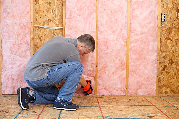 Best Specialty Insulation in Presquille, LA