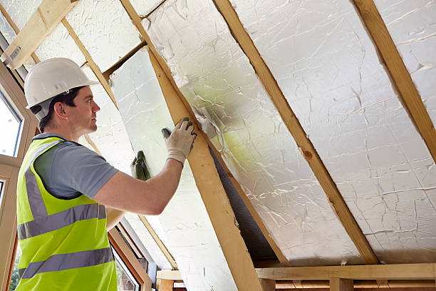 Best Energy Efficiency Solutions in Presquille, LA