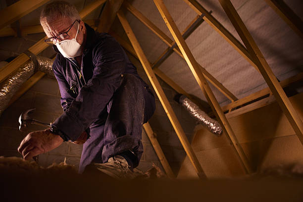 Best Insulation Maintenance and Repair in Presquille, LA